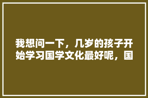 我想问一下，几岁的孩子开始学习国学文化最好呢，国学体验旅游心得体会。