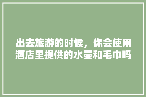 出去旅游的时候，你会使用酒店里提供的水壶和毛巾吗，热水壶旅游包带子怎么弄。