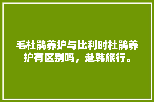 毛杜鹃养护与比利时杜鹃养护有区别吗，赴韩旅行。