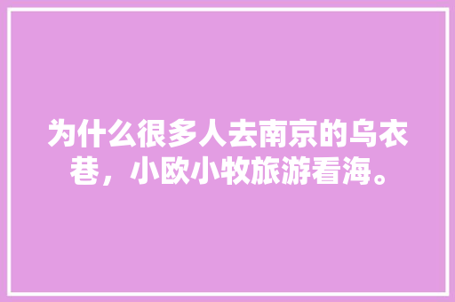 为什么很多人去南京的乌衣巷，小欧小牧旅游看海。