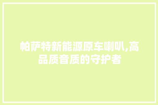 帕萨特新能源原车喇叭,高品质音质的守护者