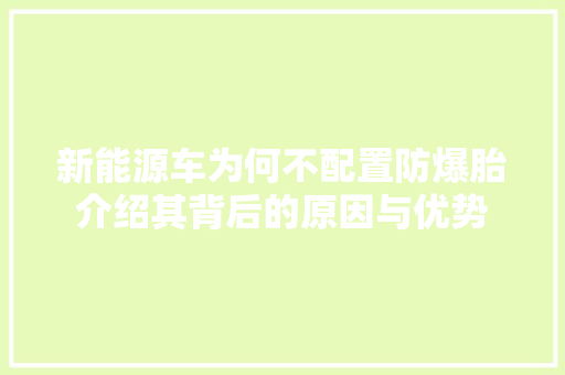 新能源车为何不配置防爆胎介绍其背后的原因与优势