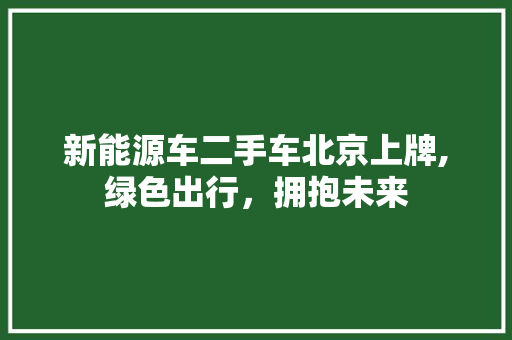 新能源车二手车北京上牌,绿色出行，拥抱未来