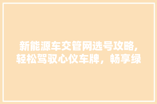 新能源车交管网选号攻略,轻松驾驭心仪车牌，畅享绿色出行新生活