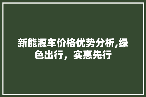 新能源车价格优势分析,绿色出行，实惠先行