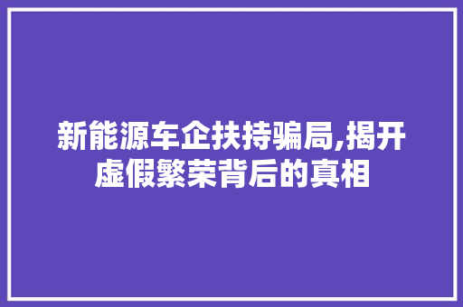 新能源车企扶持骗局,揭开虚假繁荣背后的真相