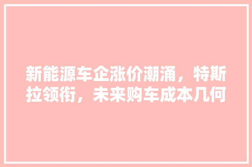 新能源车企涨价潮涌，特斯拉领衔，未来购车成本几何