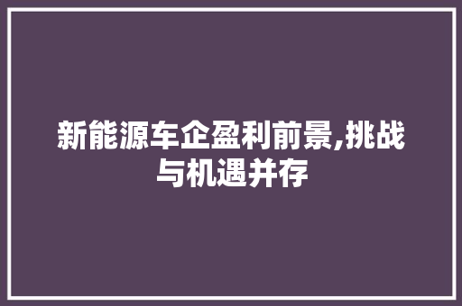 新能源车企盈利前景,挑战与机遇并存