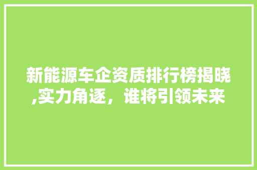 新能源车企资质排行榜揭晓,实力角逐，谁将引领未来