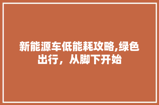 新能源车低能耗攻略,绿色出行，从脚下开始