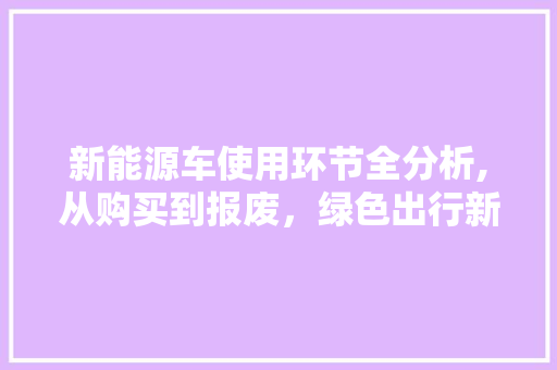 新能源车使用环节全分析,从购买到报废，绿色出行新篇章