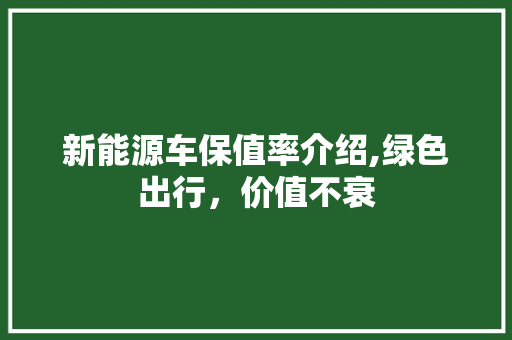 新能源车保值率介绍,绿色出行，价值不衰