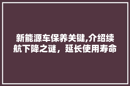 新能源车保养关键,介绍续航下降之谜，延长使用寿命之路