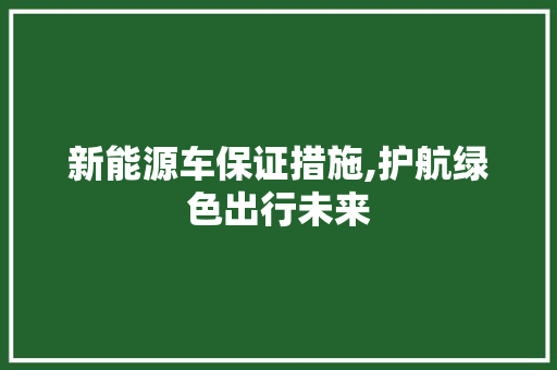 新能源车保证措施,护航绿色出行未来