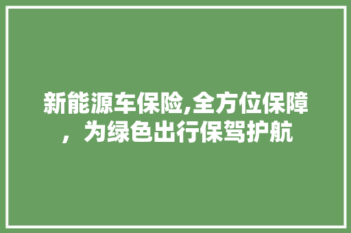 新能源车保险,全方位保障，为绿色出行保驾护航