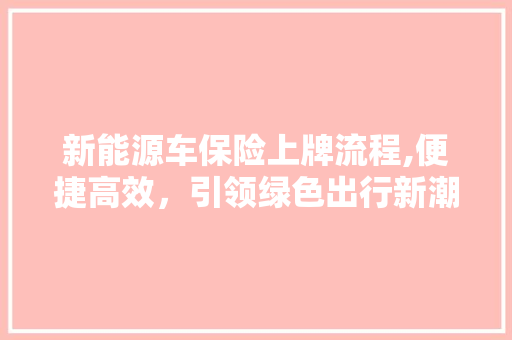 新能源车保险上牌流程,便捷高效，引领绿色出行新潮流