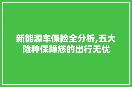 新能源车保险全分析,五大险种保障您的出行无忧