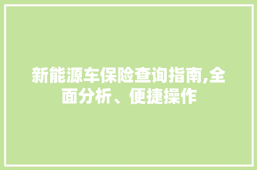 新能源车保险查询指南,全面分析、便捷操作