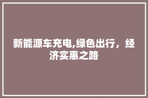 新能源车充电,绿色出行，经济实惠之路