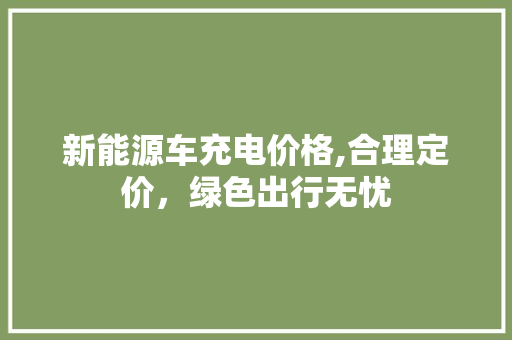 新能源车充电价格,合理定价，绿色出行无忧