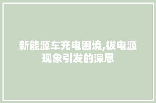 新能源车充电困境,拔电源现象引发的深思