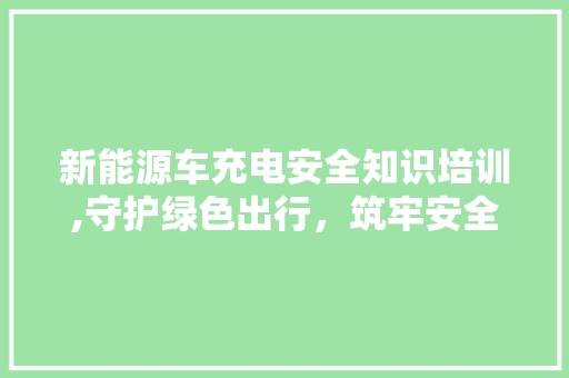 新能源车充电安全知识培训,守护绿色出行，筑牢安全防线