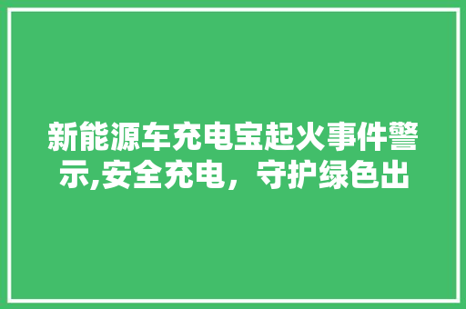 新能源车充电宝起火事件警示,安全充电，守护绿色出行