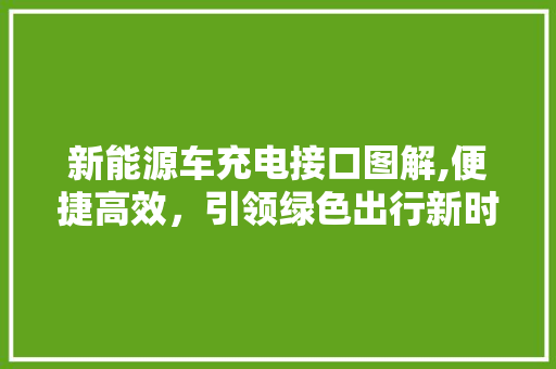 新能源车充电接口图解,便捷高效，引领绿色出行新时代