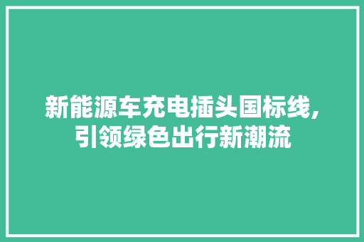 新能源车充电插头国标线,引领绿色出行新潮流