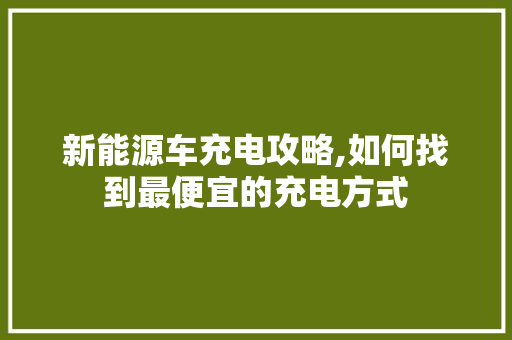 新能源车充电攻略,如何找到最便宜的充电方式