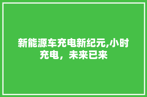 新能源车充电新纪元,小时充电，未来已来