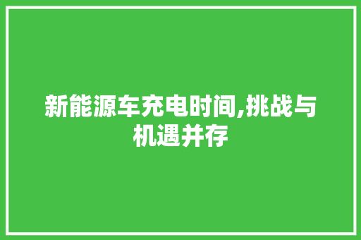 新能源车充电时间,挑战与机遇并存