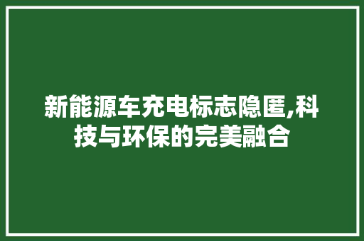 新能源车充电标志隐匿,科技与环保的完美融合