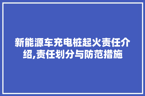 新能源车充电桩起火责任介绍,责任划分与防范措施