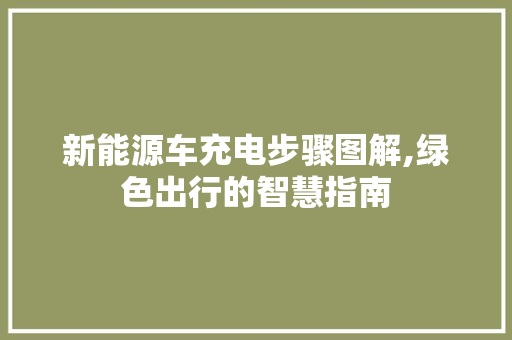 新能源车充电步骤图解,绿色出行的智慧指南