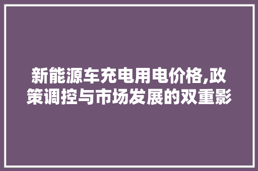 新能源车充电用电价格,政策调控与市场发展的双重影响