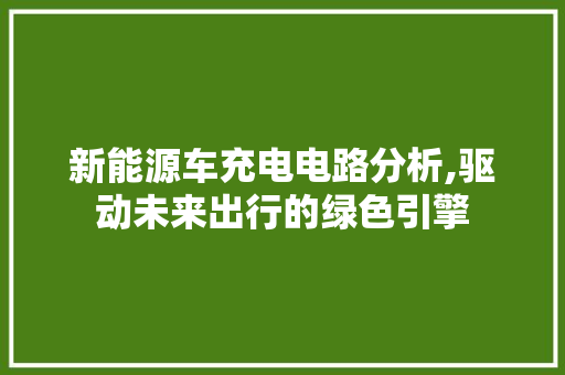 新能源车充电电路分析,驱动未来出行的绿色引擎