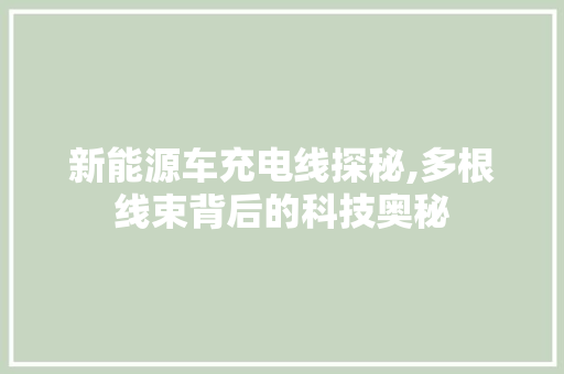 新能源车充电线探秘,多根线束背后的科技奥秘