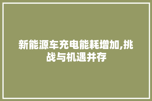 新能源车充电能耗增加,挑战与机遇并存