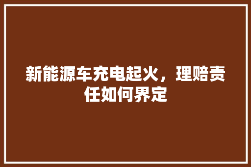 新能源车充电起火，理赔责任如何界定