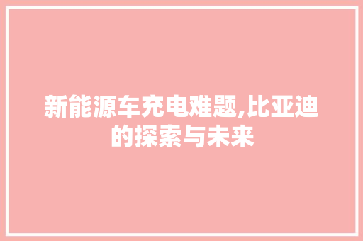 新能源车充电难题,比亚迪的探索与未来