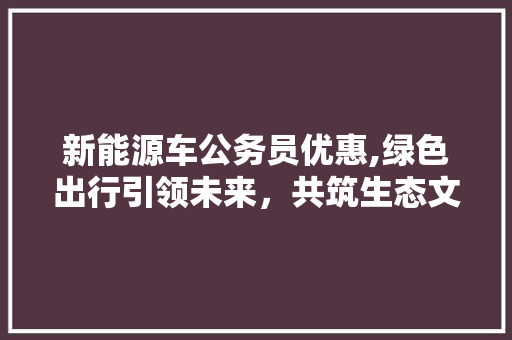 新能源车公务员优惠,绿色出行引领未来，共筑生态文明