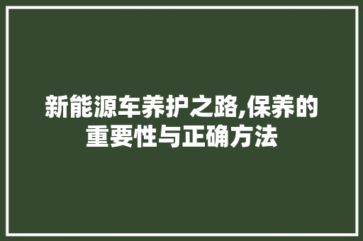 新能源车养护之路,保养的重要性与正确方法