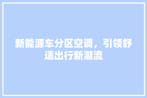 新能源车分区空调，引领舒适出行新潮流