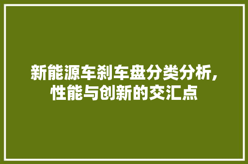 新能源车刹车盘分类分析,性能与创新的交汇点