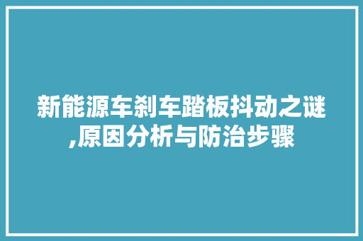 新能源车刹车踏板抖动之谜,原因分析与防治步骤