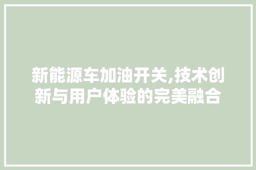 新能源车加油开关,技术创新与用户体验的完美融合