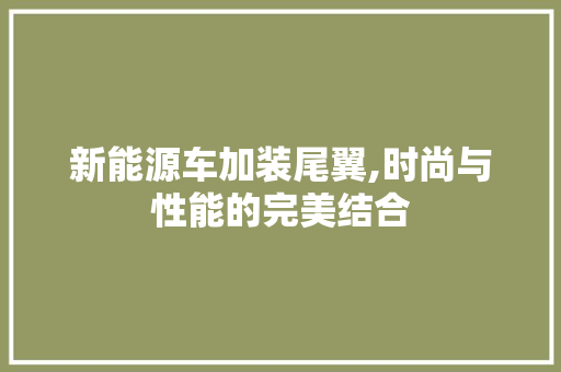 新能源车加装尾翼,时尚与性能的完美结合