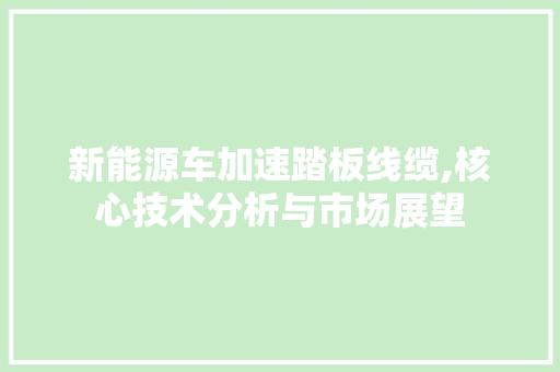 新能源车加速踏板线缆,核心技术分析与市场展望