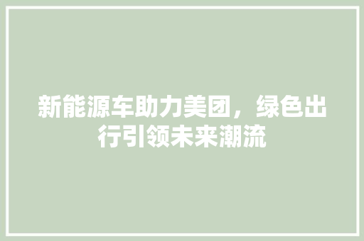 新能源车助力美团，绿色出行引领未来潮流  第1张